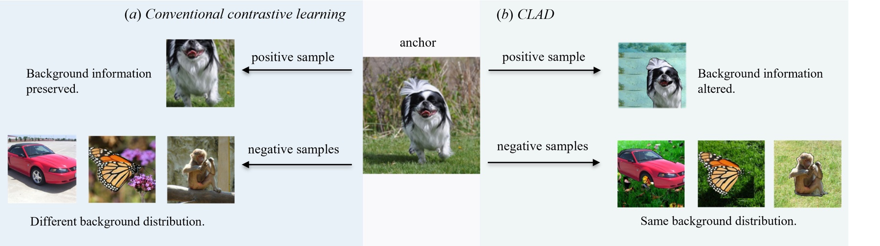 Contrastive pair sampling: conventional vs CLAD's background-debiased strategy