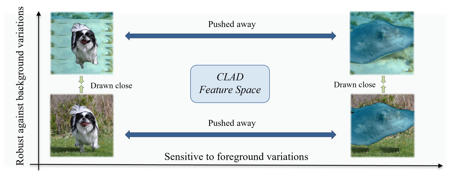 CLAD feature space: robust to background, sensitive to foreground