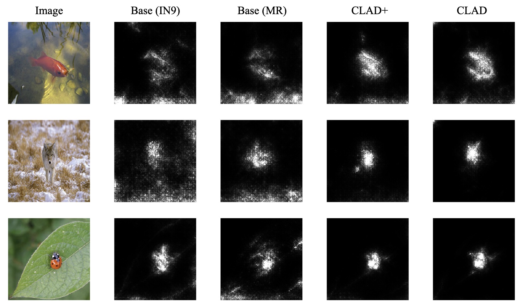 Saliency maps: CLAD focuses on foreground vs baselines attending to background